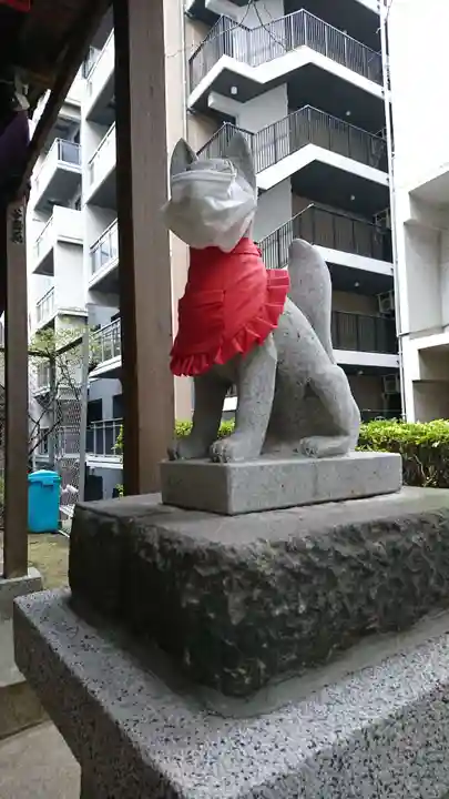 白菊稲荷神社の狛犬