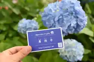 壽徳寺 じゅとくじの自然(2020年06月20日(土) 10時53分03秒投稿)