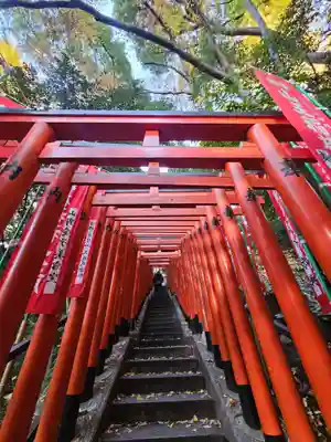 日枝神社(東京都)