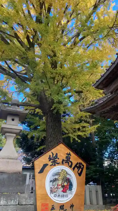 田無神社(東京都)