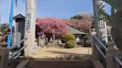 真乗寺の建物その他