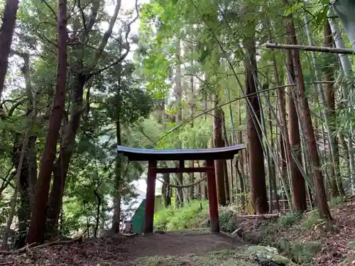 金鑄神社の鳥居