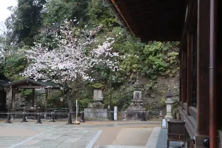 清水寺(京都府)