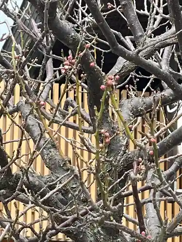 白山神社(新潟県)