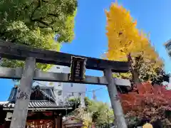 江島杉山神社の鳥居