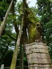 白山比咩神社(石川県)