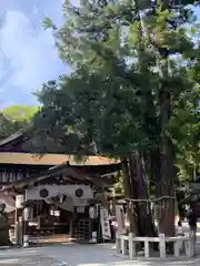 建部大社(滋賀県)