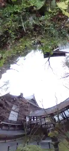 禅林寺（永観堂）のその他建物