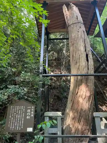 柳津虚空蔵尊 寳性院(宮城県)