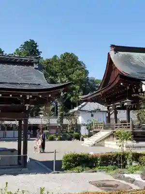 沙沙貴神社の七五三参