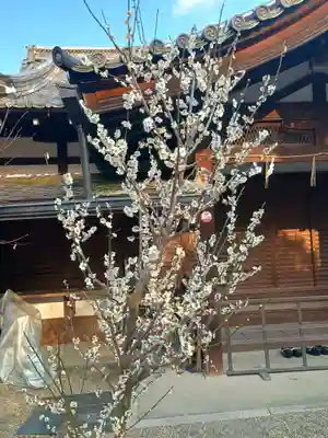 梨木神社(京都府)