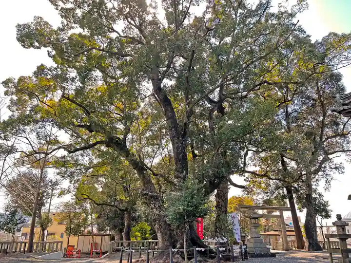 細江神社の自然