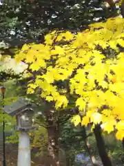 岩内神社の建物その他