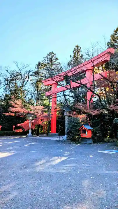 冠稲荷神社の鳥居