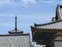 薬師寺の{uncategorized: "未分類", other: "その他", undefined: "問題あり", building: "その他建物", grave: "お墓", sacred_gate: "鳥居", guardian: "狛犬", statue: "像", buddha: "仏像", history: "歴史", nature: "自然", garden: "庭園", animal: "動物", pagoda: "塔", temizu: "手水舎", mountain_gate: "山門・神門", sanctuary: "本殿・本堂", subordinate: "末社・摂社", art: "芸術", scenery: "景色", jizo: "地蔵", ema: "絵馬", goshuin: "御朱印", omikuji: "おみくじ", items: "授与品その他", amulet: "お守り", goshuincho: "御朱印帳", eats: "食事", festival: "お祭り", votive_dance: "神楽", shichigosan: "七五三参", wedding: "結婚式", experience: "体験その他", initially: "初詣", around: "周辺", anti_infection: "感染症対策"}