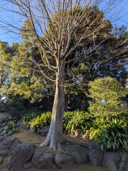 長仙寺(東京都)