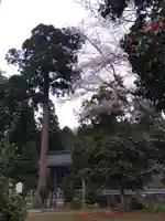 八幡神社(福井県)