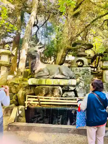 春日大社(奈良県)