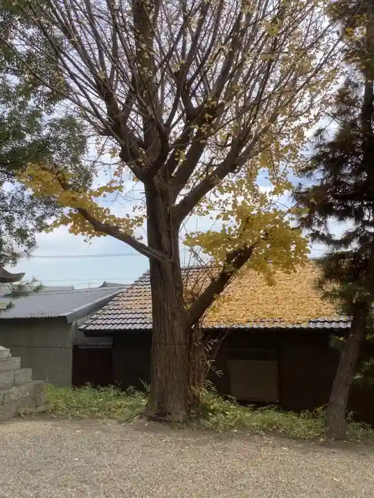 小垣江神明神社の自然