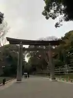明治神宮の鳥居