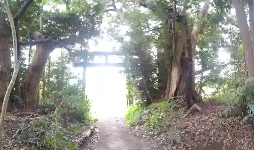 神社(名称不明)の鳥居