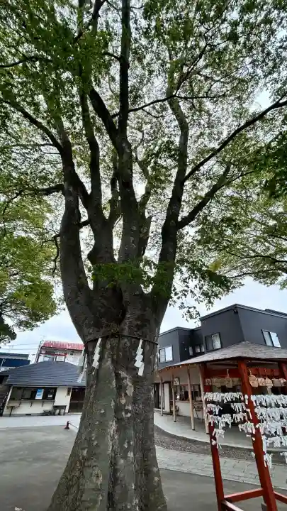 乃木神社(北海道)