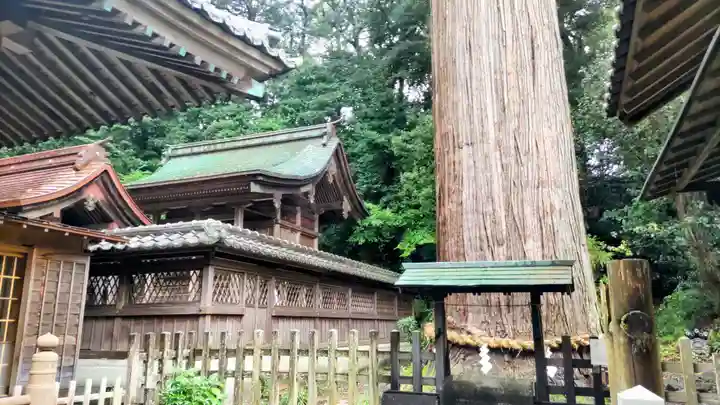 事任八幡宮(静岡県)