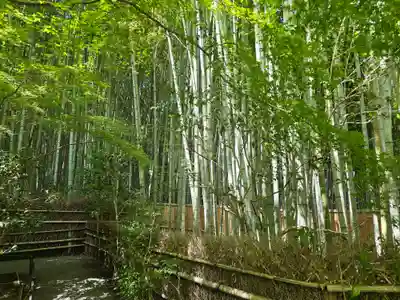 祇王寺(京都府)