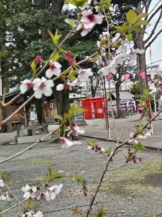 相模原氷川神社(神奈川県)
