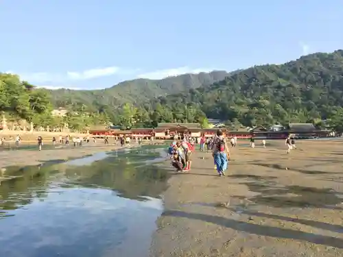 厳島神社(広島県)