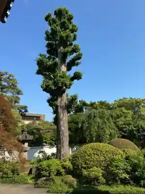 正覚院の{uncategorized: "未分類", other: "その他", undefined: "問題あり", building: "その他建物", grave: "お墓", sacred_gate: "鳥居", guardian: "狛犬", statue: "像", buddha: "仏像", history: "歴史", nature: "自然", garden: "庭園", animal: "動物", pagoda: "塔", temizu: "手水舎", mountain_gate: "山門・神門", sanctuary: "本殿・本堂", subordinate: "末社・摂社", art: "芸術", scenery: "景色", jizo: "地蔵", ema: "絵馬", goshuin: "御朱印", omikuji: "おみくじ", items: "授与品その他", amulet: "お守り", goshuincho: "御朱印帳", eats: "食事", festival: "お祭り", votive_dance: "神楽", shichigosan: "七五三参", wedding: "結婚式", experience: "体験その他", initially: "初詣", around: "周辺", anti_infection: "感染症対策"}