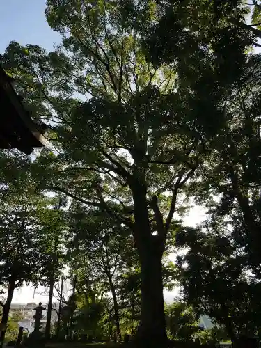 居神神社の自然