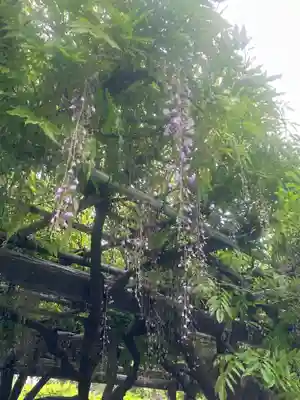 亀戸天神社(東京都)