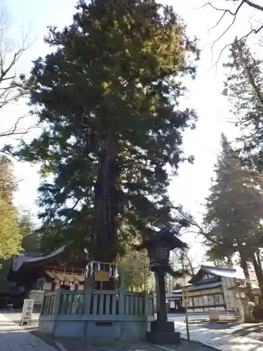 諏訪大社下社秋宮(長野県)