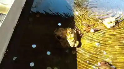 南湖神社のその他建物