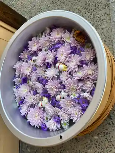 御井神社の手水舎