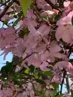 嚴島神社の自然