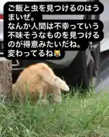 専念寺(大阪府)