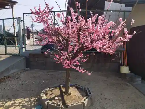 阿麻美許曽神社(大阪府)
