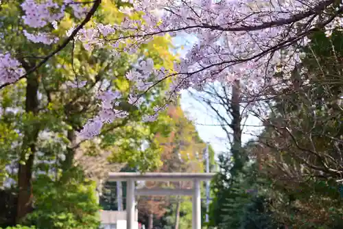阿佐ヶ谷神明宮(東京都)