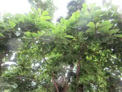 円覚寺(神奈川県)