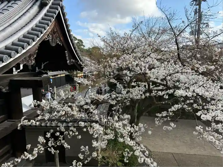 大雲院(京都府)