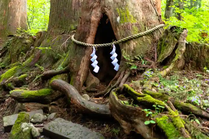 戸隠神社奥社(長野県)