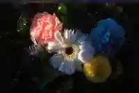 豊景神社の手水舎