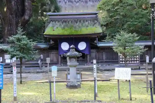 若狭姫神社（若狭彦神社下社）の本殿