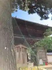 鶴林寺の山門