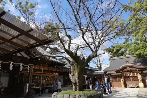 護王神社の自然