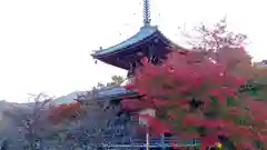 清凉寺の塔