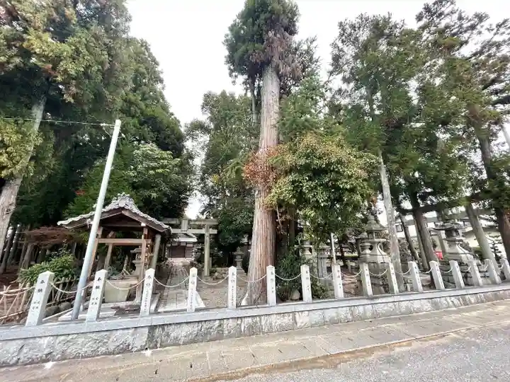 白鳥神社(滋賀県)