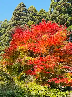 永福寺(岩手県)